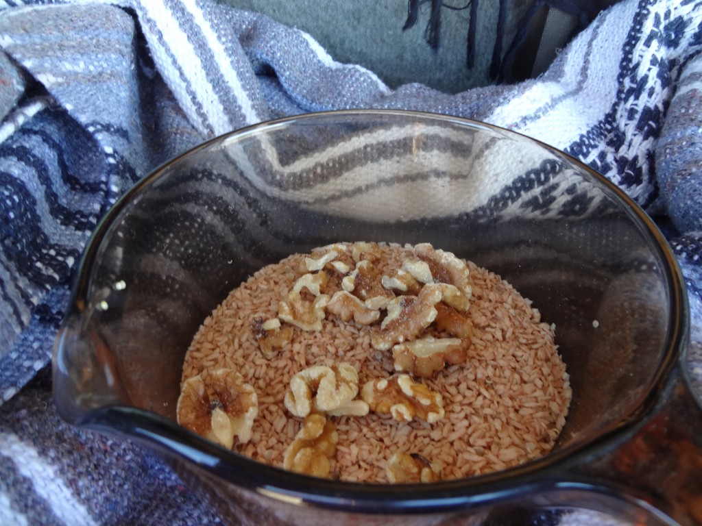 Quinoa with cinnamon and walnuts