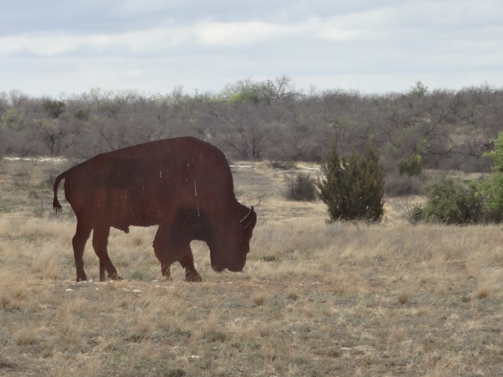 Fake buffalo in San Angelo State Park, Texas