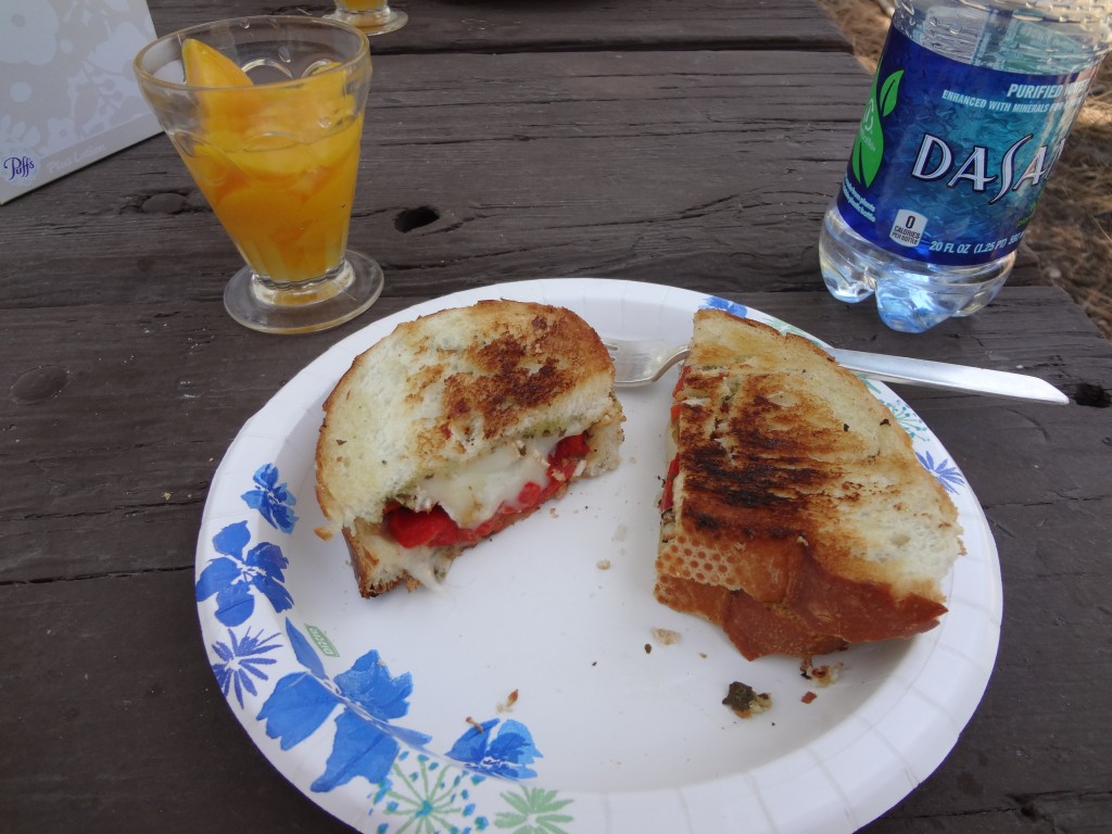 Brie/roasted pepper/pesto grilled cheese on french bread with peaches for dessert