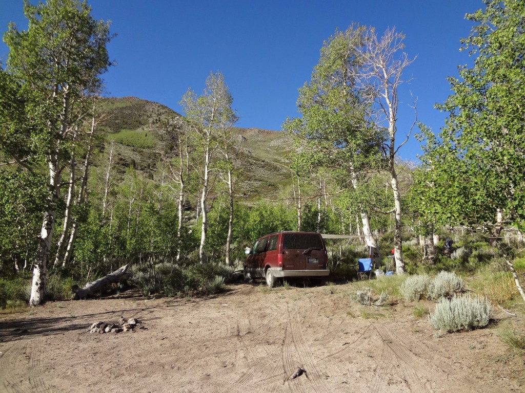 My new camp in the aspens