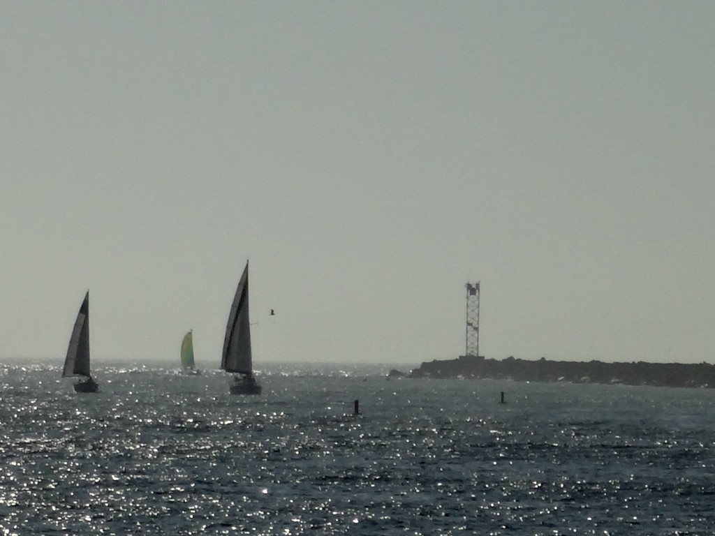 sailboats